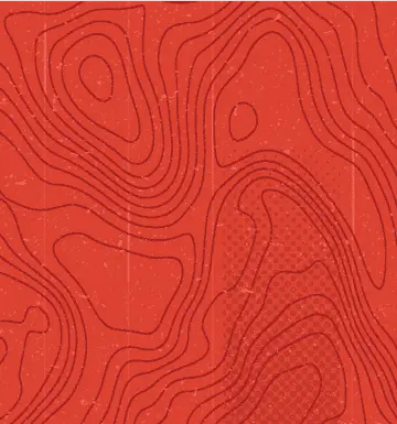 Flash Section Flash Section